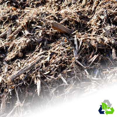 stump wood - plm mix